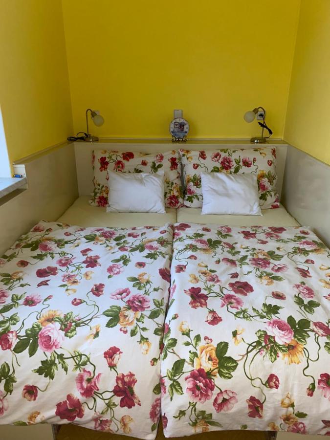 Rodinny Apartman 3+1 Horni Mesto Εξωτερικό φωτογραφία
